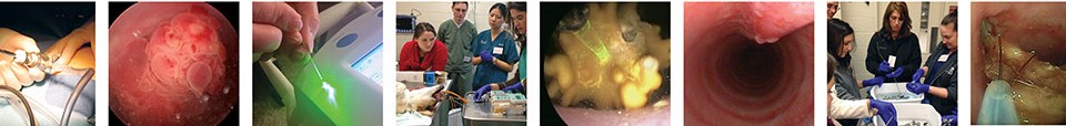 Minimally Invasive Scoping Course banner